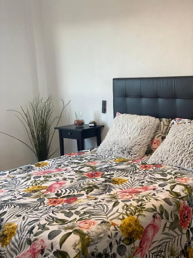 Daire Precioso Apartamento Moderno Málaga